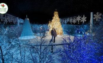 Set kèo đi ngay vương quốc tuyết trắng Winter Sonata đang hot rần rần