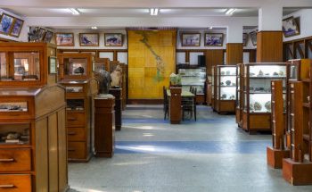 Bảo tàng trưng bày đá quý