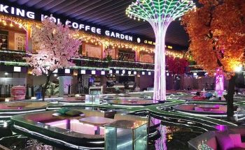 Lưu ngay top quán café cá Koi ở Sài Gòn