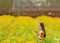 Hướng dẫn đường đi cánh đồng hoa Nhị Bình Hóc Môn