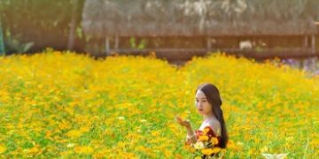 Hướng dẫn đường đi cánh đồng hoa Nhị Bình Hóc Môn