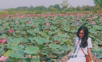 Hướng dẫn di chuyển đến đầm sen Tam Đa ở TP Hồ Chí Minh