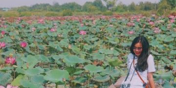 Hướng dẫn di chuyển đến đầm sen Tam Đa ở TP Hồ Chí Minh
