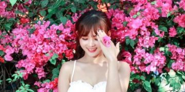 Hoa giấy khoe sắc trên góc phố Sài thành