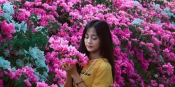 Phải lòng 3 mùa hoa Sài Gòn vừa đẹp vừa lãng mạn