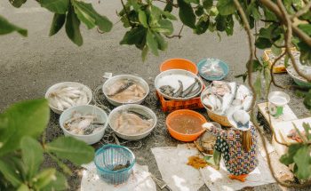 Ốc đảo Thanh Đa bình yên giữa lòng Sài Gòn