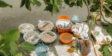 Ốc đảo Thanh Đa bình yên giữa lòng Sài Gòn