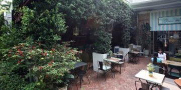 Quán cà phê dưới vòm cây xanh